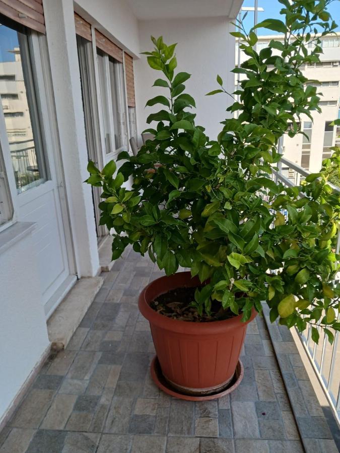 ספליט Room With Private Toilet And Balcony In City Center In Shared Apartment מראה חיצוני תמונה